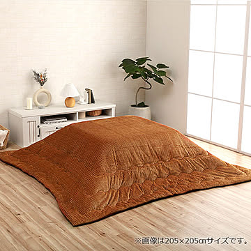グランド  205×285cm イケヒコ イケヒコ・コーポレーション 1181830020511