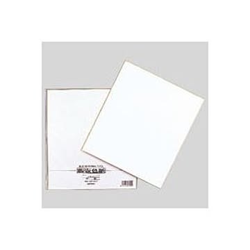 （まとめ） 色紙 シキシ-4 1枚入 【×30セット】