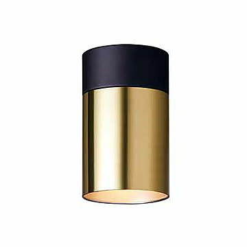 ARTWORKSTUDIO アートワークスタジオ Tube-down light(L) チューブダウンライト(L)(LED球付属) AW-0525E 天井照明 シーリングライト ダウンライト