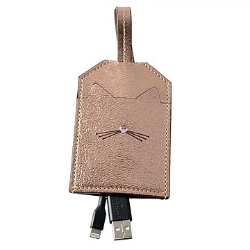 kate Spade （ケイトスペード） 8ARU2139 974 充電用USBケーブルセット TECH ACCESSORIES cat portable lightning cable
