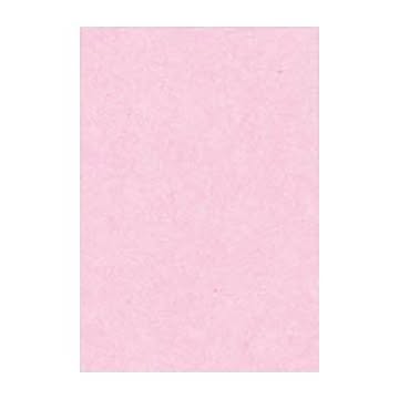 （まとめ） 文運堂 ニューカラーR 八ツ切 横271×縦392mm 8NCR-218 さくら 100枚入 【×2セット】