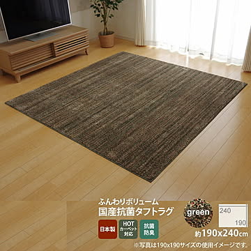 国産タフト ラグ カーペット 190×240cm 3畳 ミックスカラーグリーン 抗菌 防臭 防ダニ