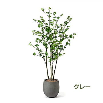 GREENPARK ドウダンツツジ エッグポット H160cm PRGR-1250 プリマ