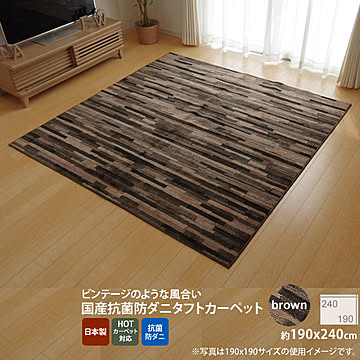 イケヒコ・コーポレーション ラグ マットーネ ブラウン 190×240cm 4723159