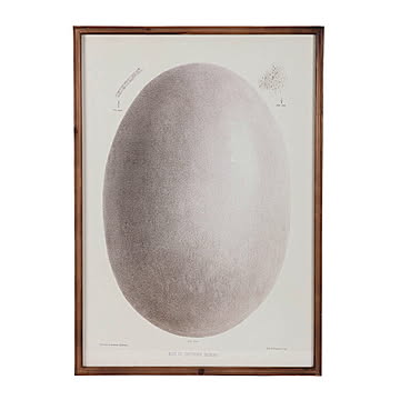 額縁 ART FRAME EGG Y-0935EG 幅600x奥行28x高さ840mm ダルトン