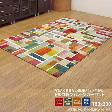 イケヒコ・コーポレーション エデン ウィルトン織りラグ 160×230cm 2334409