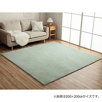 イケヒコ・コーポレーション フェイクファーラグ ラピアス ピスタチオグリーン 200×300cm