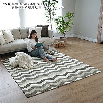 ラグ 洗える 抗菌 防臭 防ダニ NP-04 長方形 190x240cm エラーレ
