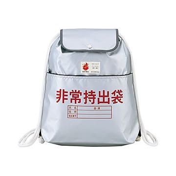 大明商事 非常持ち出し袋 380×400mm 1個 【×10セット】