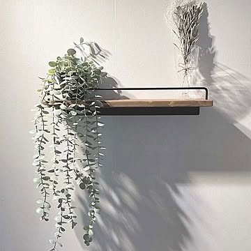 アイアン　ウォールシェルフ　飾り棚　インダストリアル