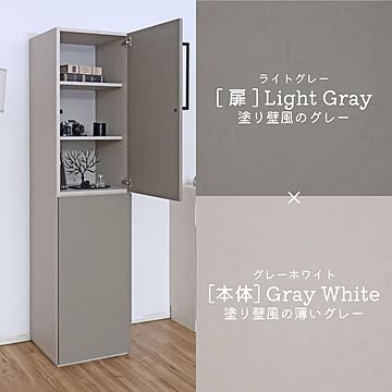 収納棚 扉付き キャビネット 国産家具 壁面収納 幅45cm DIY 木製 組立 WS-1845T