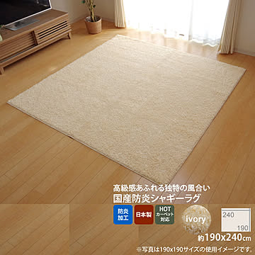 イケヒコ・コーポレーション ラグ シャンゼリゼ 190×240cm アイボリー 4722119