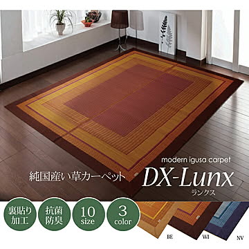 イケヒコ・コーポレーション DXランクス い草ラグ 95×150cm ワインカラー 不織布裏付き