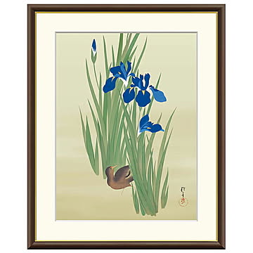 額絵 燕子花に水鶏図 酒井抱一 42x34cm 三幸