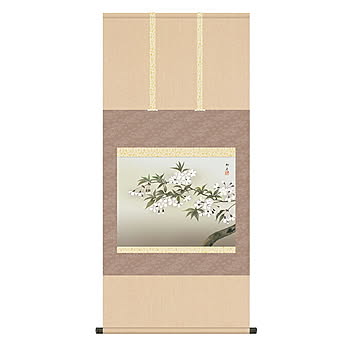 掛け軸 夜桜 速水御舟 54.5x115cm 三幸