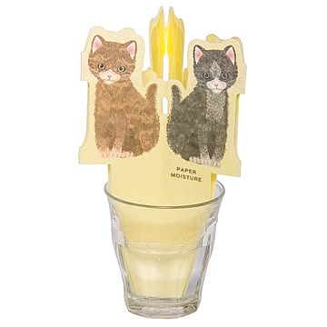 ペーパー加湿器 ラブリーキャット