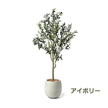 GREENPARK オリーブ エッグポット H155cm PRGR-1261 プリマ
