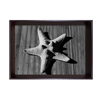 Photography art Star fish アートポスター（フレーム付き） m12954
