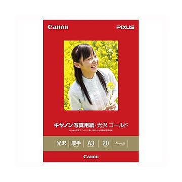 （まとめ） キヤノン Canon純正プリンタ用紙 写真用紙・光沢 ゴールド GL-101A320 20枚入 【×2セット】