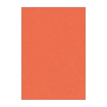 （まとめ） 文運堂 ニューカラーR 八ツ切 横271×縦392mm 8NCR-213 だいだい 100枚入 【×2セット】