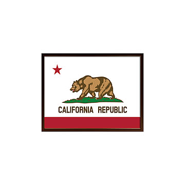 Art Frame California Flag アートフレーム m13170