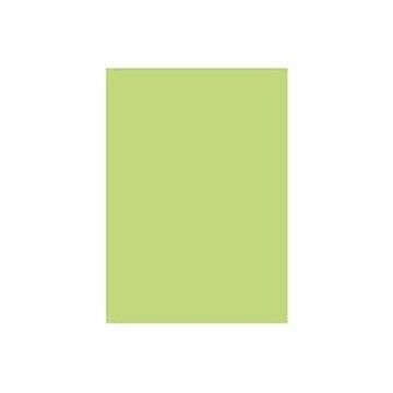 (業務用2セット) 北越製紙 カラーペーパー/リサイクルコピー用紙 【B5 500枚×5冊】 日本製 グリーン(緑)