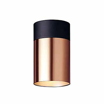 ARTWORKSTUDIO アートワークスタジオ Tube-down light(L) チューブダウンライト(L)(LED球付属) AW-0525E 天井照明 シーリングライト ダウンライト