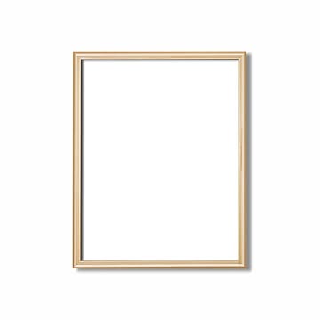 デッサン額縁/フレーム 【大衣サイズ 509×394mm】 ゴールド 壁掛けひも付き 化粧箱入り