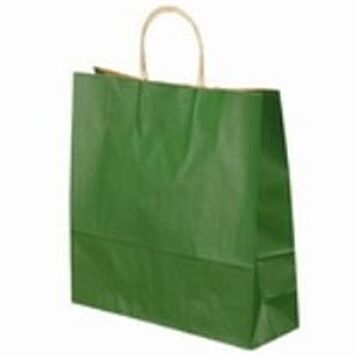 （まとめ）ベルベ 手提袋 T-6 1664 緑 50枚×2セット