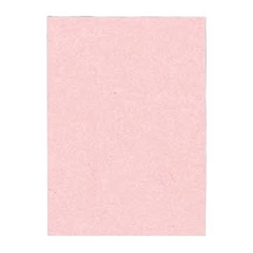 （まとめ） 文運堂 ニューカラーR 四ツ切 横392×縦542mm 4NCR-102 うすもも 100枚入 【×2セット】