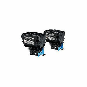 EPSON 環境推進トナー(ブラック2本パック) LPC4T9KPV 管理No. 4988617097940