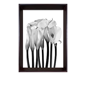 Photography art Calla アートポスター（フレーム付き） m12958