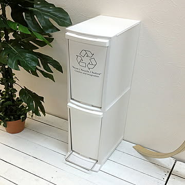 ゴミ箱 20L エコボックス 分別スリム すき間 ごみ箱 ダストBOX くずかご ダストボックス ごみばこ バケツ 資源ゴミ 屋外 北欧 インテリア 雑貨【東谷S】グランデ eco LFS-932