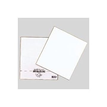 （まとめ） 色紙 シキシ-5 1枚入 【×30セット】