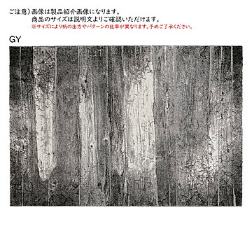 ラグ アストラ2 トルコ製 長方形 200x250cm プレーベル