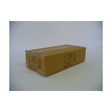 （まとめ） アジア原紙 大判インクジェット用紙 IJPR-4245N 2本入 【×2セット】