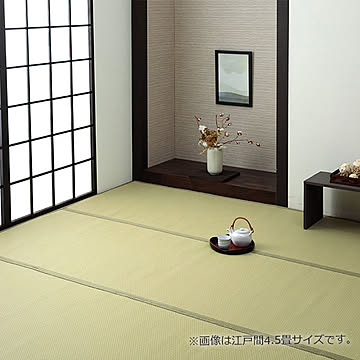イケヒコ・コーポレーション ミーサ 江戸間10畳 グリーン 1090740021402