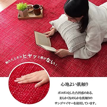 洗える滑りにくいレッドラグ 珊瑚マイヤ 約200×300cm