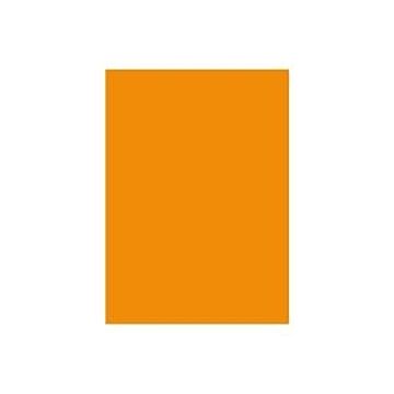 (業務用2セット) 北越製紙 カラーペーパー/リサイクルコピー用紙 【B5 500枚×5冊】 日本製 オレンジ