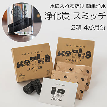 スミッチ 2箱（4個色・4か月分）