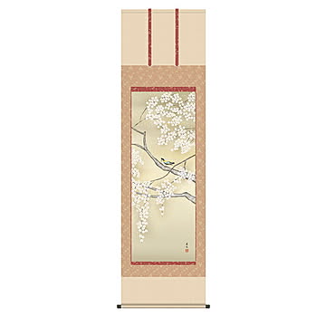 掛け軸 桜花に小鳥 西尾香悦 54.5x190cm 三幸
