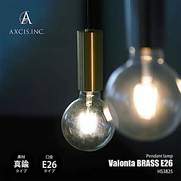 AXCIS アクシス Valonta pendant light E17 (STAINLESS) ヴァロンタペンダントライト ステンレス E17 (電球別売) HS3826 / 照明器具 LED対応
