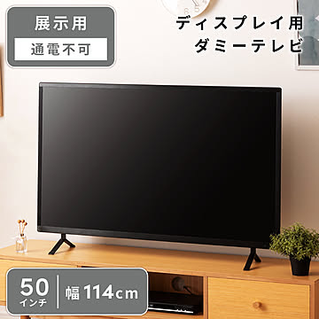 ディスプレイTV 50インチ ＜DIS-550＞ L1※モニタではございません ディスプレイTV 50インチ ＜DIS-550＞ L1※モニタではご
