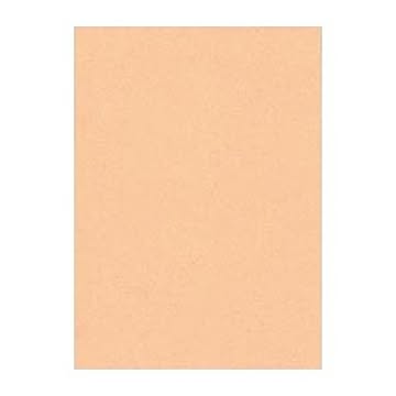 （まとめ） 文運堂 ニューカラーR 四ツ切 横392×縦542mm 4NCR-103 はだいろ 100枚入 【×2セット】