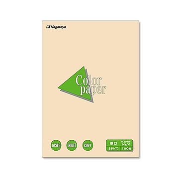 まとめ 長門屋商店 Color Paper B4 厚口 アイボリー ナ-2315 1冊100枚  ×10セット