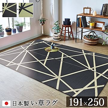 イケヒコ・コーポレーション い草ラグ Fレヴィン ブラック 191×250cm