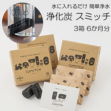 スミッチ 3箱（6個入り・6か月分）