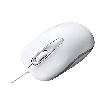 （まとめ） サンワサプライ 有線光学式マウス 中型 3ボタン 紙箱パッケージ ホワイト 【×3セット】