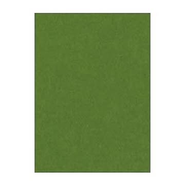 （まとめ） 文運堂 ニューカラーR 四ツ切 横392×縦542mm 4NCR-316 オリーブ 100枚入 【×2セット】