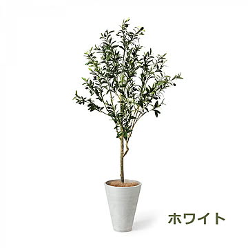GREENPARK オリーブ GWプランター H160cm PRGR-1260 プリマ
